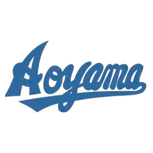 青山学院大学(男子)