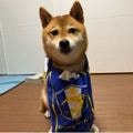 やま さよ